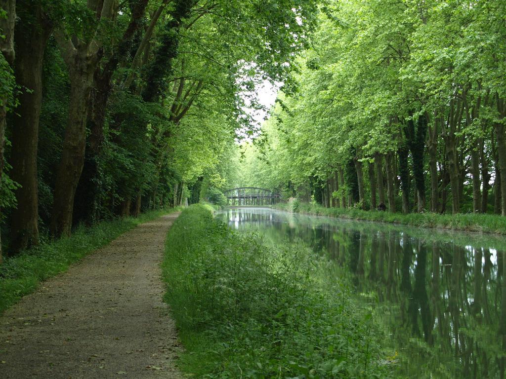 Gite Au Jardin Meilhan-sur-Garonne Номер фото