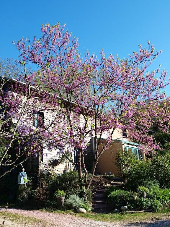 Gite Au Jardin Meilhan-sur-Garonne Номер фото