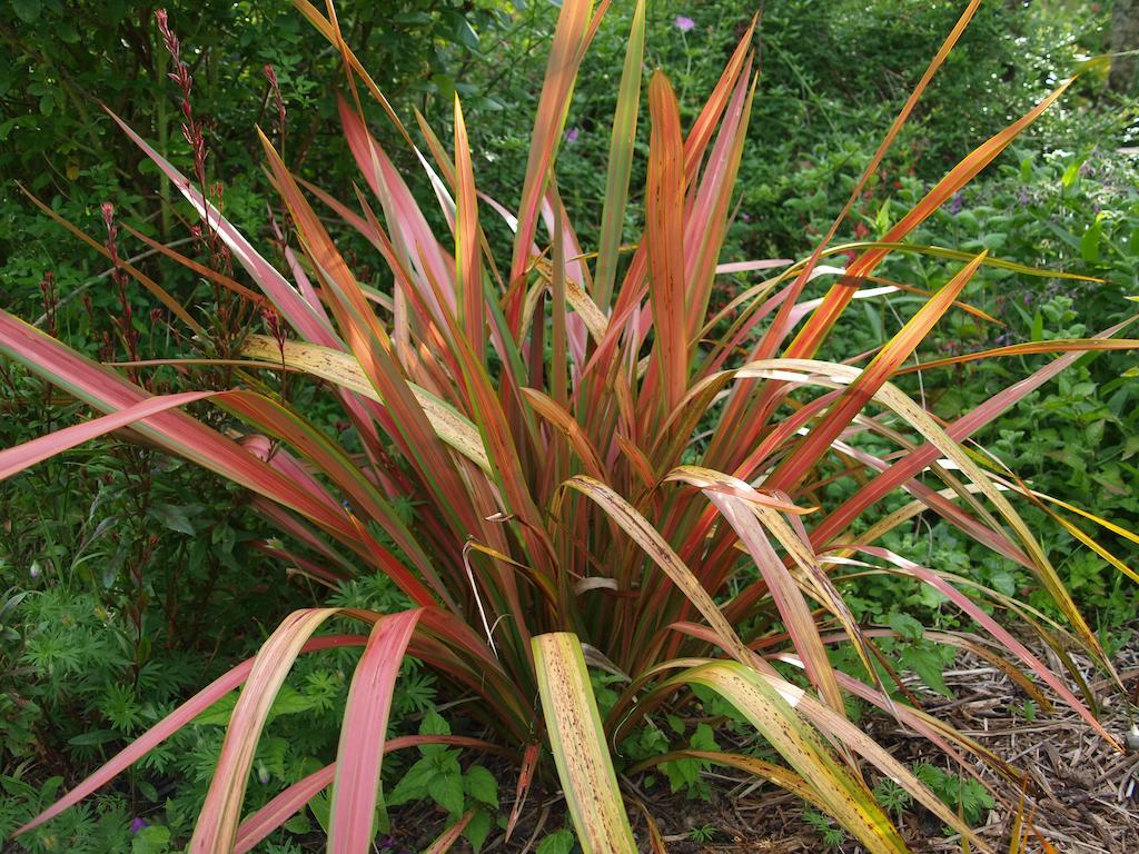 Gite Au Jardin Meilhan-sur-Garonne Номер фото