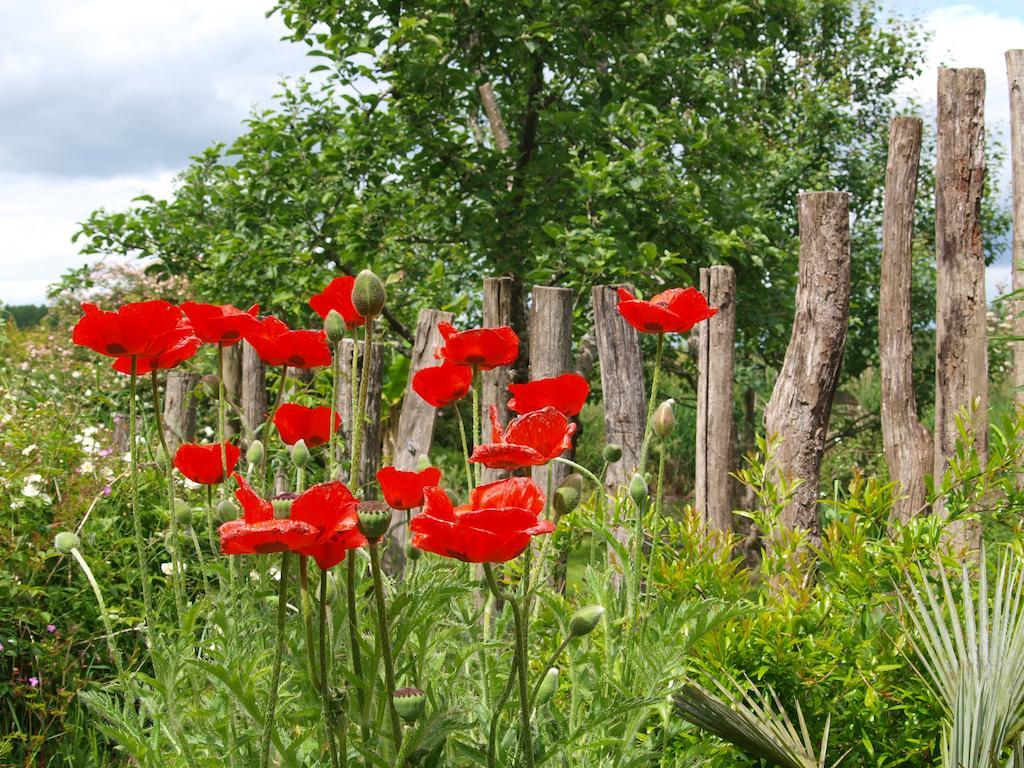 Gite Au Jardin Meilhan-sur-Garonne Номер фото