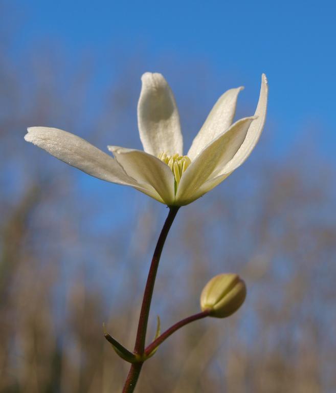 Gite Au Jardin Meilhan-sur-Garonne Номер фото