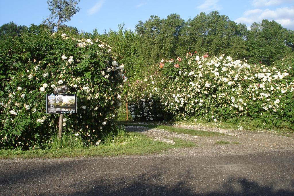 Gite Au Jardin Meilhan-sur-Garonne Экстерьер фото