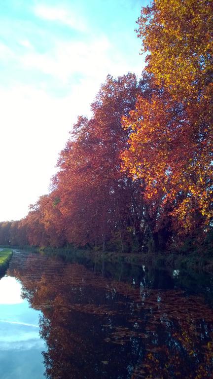 Gite Au Jardin Meilhan-sur-Garonne Экстерьер фото