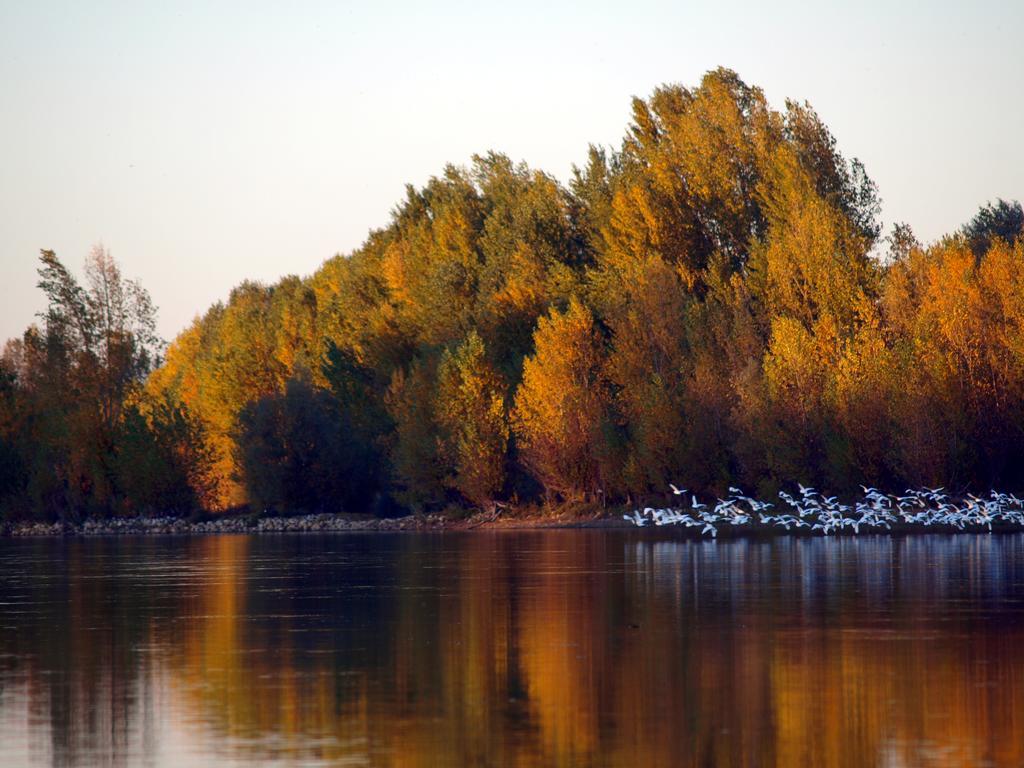 Gite Au Jardin Meilhan-sur-Garonne Экстерьер фото